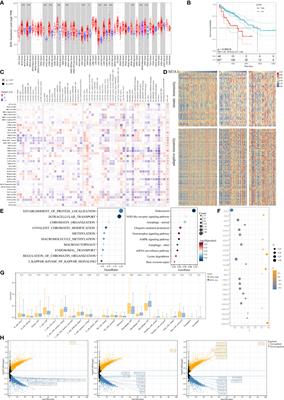 Upregulation of MTA1 in Colon Cancer Drives A CD8+ T Cell-Rich But Classical Macrophage-Lacking Immunosuppressive Tumor Microenvironment